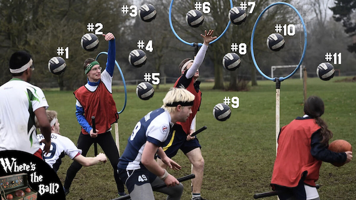Where's the Ball? Quidditch Edition image number null